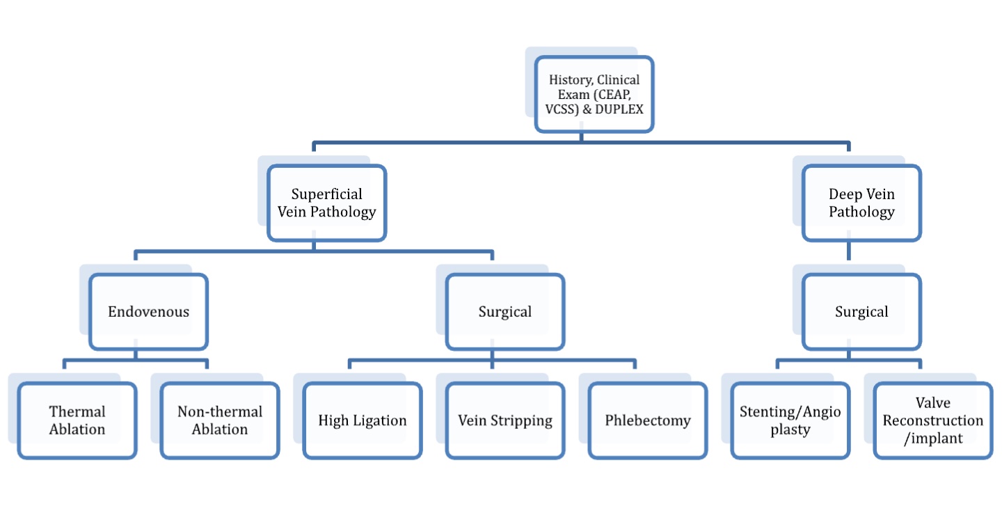 Fig. 4: :Endovenous and surgical interventions for superficial and deep vein pathology: